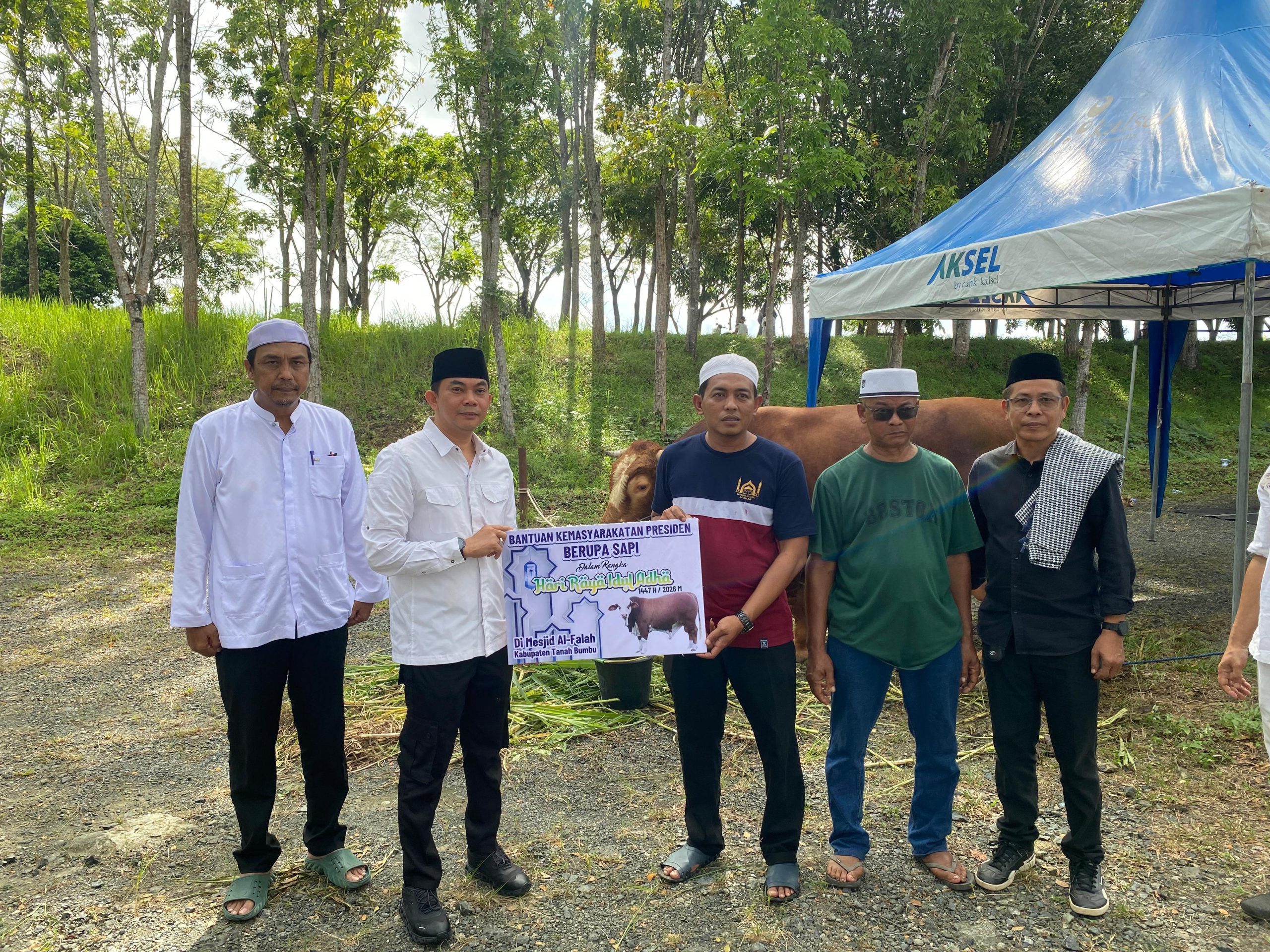 Sapi Kurban Bantuan Presiden RI Diserahkan Bupati Andi Rudi Latif  untuk Masyarakat di Hari Raya Idul Adha