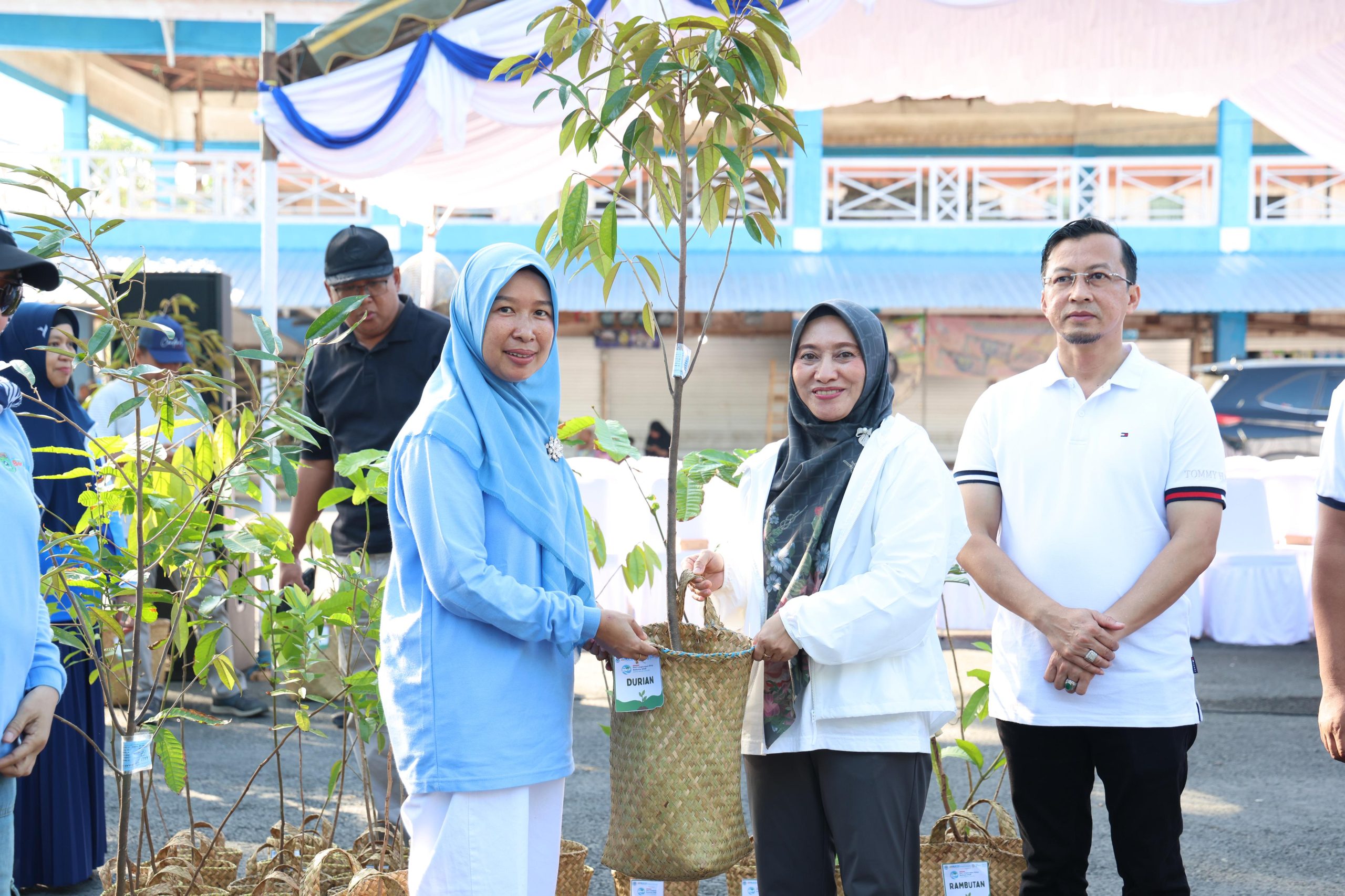 Hari Lingkungan Hidup Sedunia 2026, Pemkab Tanah Bumbu Distribusikan Bibit Tanaman untuk Penghijauan